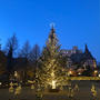 メリークリスマス　明治学院大学のクリスマスツリー