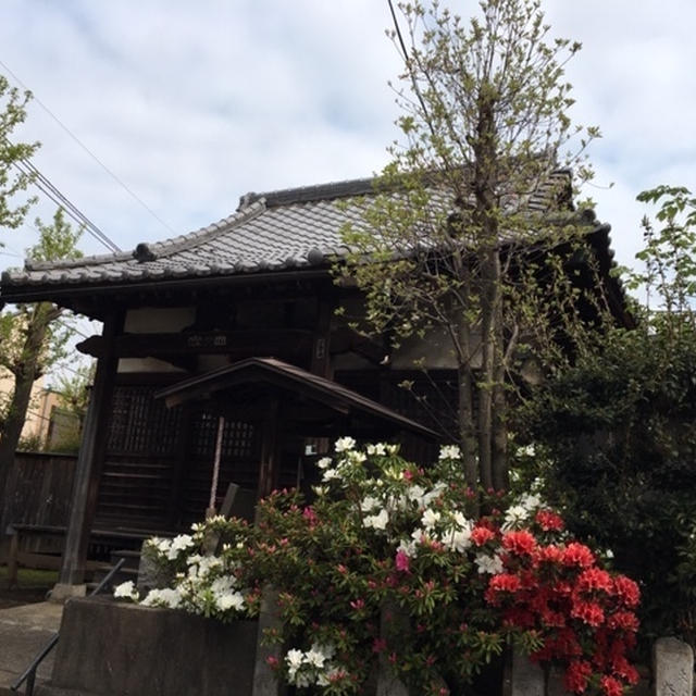 【朝散歩】始めて３週間経ちました。