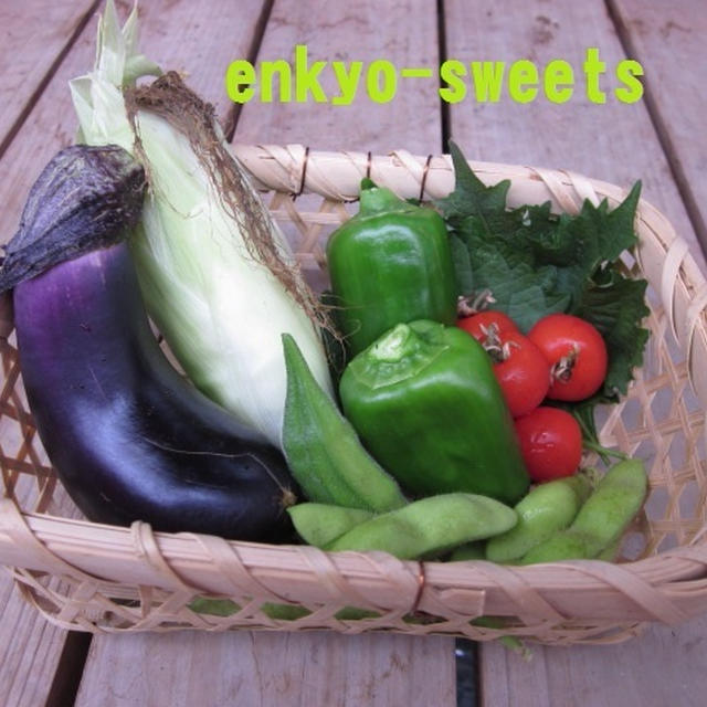 収穫☆夏野菜たち