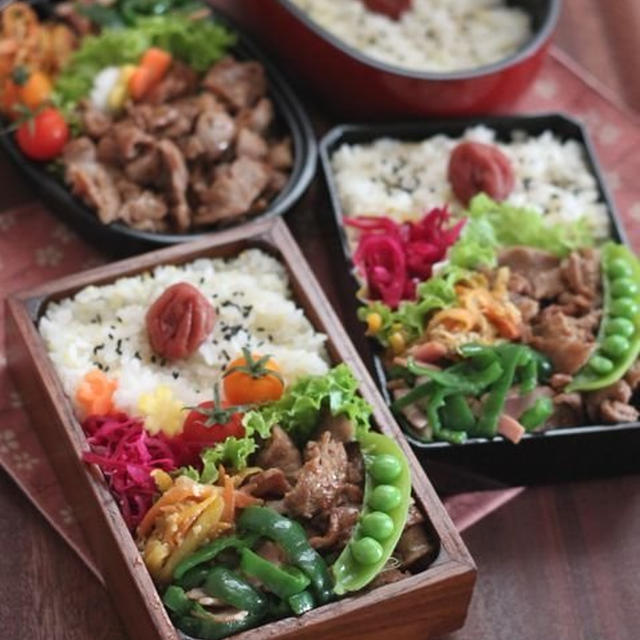 連載第3弾ｽﾀｰﾄ✿bento＆晩ご飯♪
