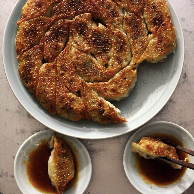 Friday Gyoza
