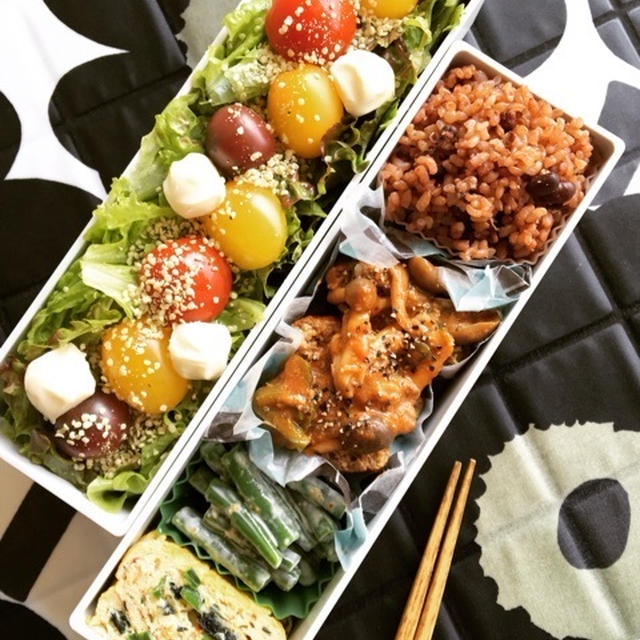 久し振りのPOCO弁当　野菜入り煮込みハンバーグ