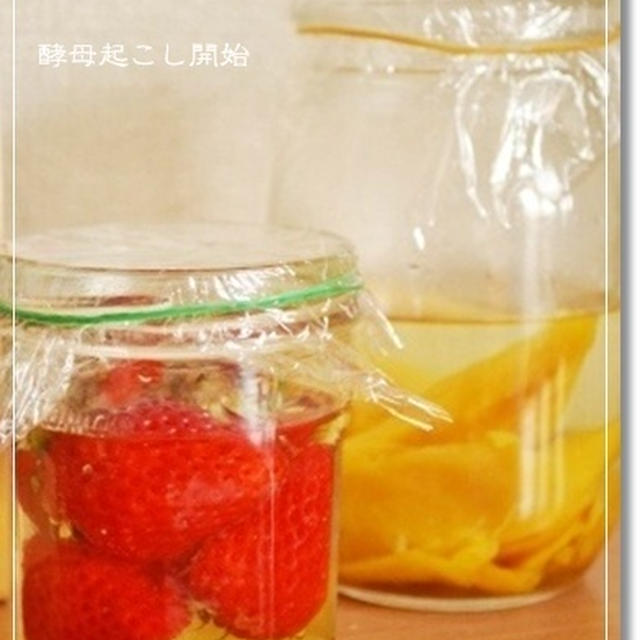 濃厚いちご酵母とマンゴー酵母