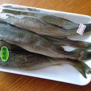 氷下魚（コマイ）干し