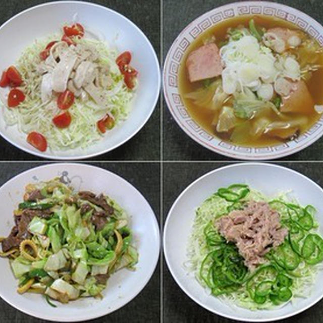 新作・牛肉とキャベツのオイスターソース炒め、他：野菜食日記[374]-[377]