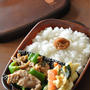 お弁当作りには電子レンジが大活躍！簡単節約お弁当
