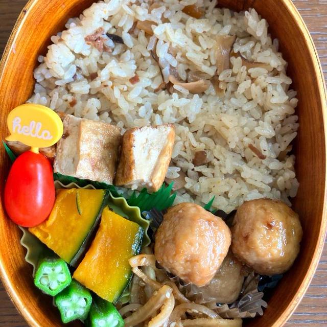 炊き込みご飯弁当と多分ヤモリ？