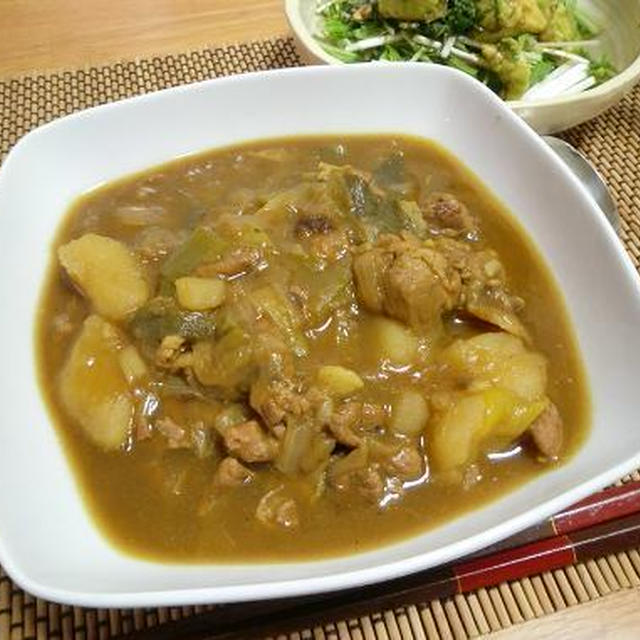 20分で出来上がり！ネギたっぷり♪ ☆豚肉とナスの和風だしカレー☆