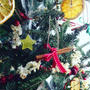 クラシックな生もみの木クリスマスツリー（6）　-　飾り付け♪