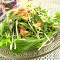水菜とスモークサーモンの梅サラダ。°