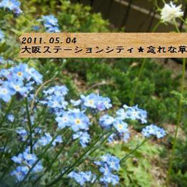 【記録】災害弔慰金　と　続く地震。。。