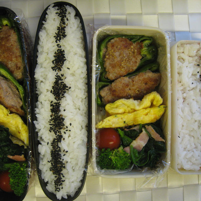 【JKお弁当】反抗期