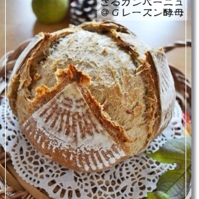 タッパー発酵とシリアルザルカンパ
