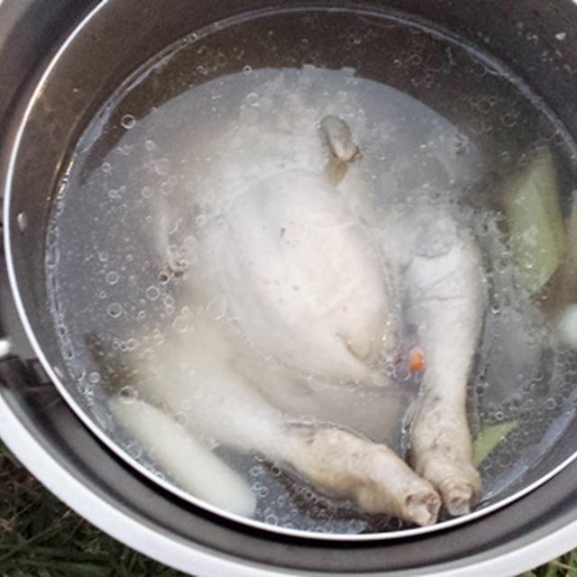キャンプで参鶏湯！（白浜オートキャンプ場）