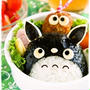 姫のお弁当＊　～トトロとまっくろくろすけ～