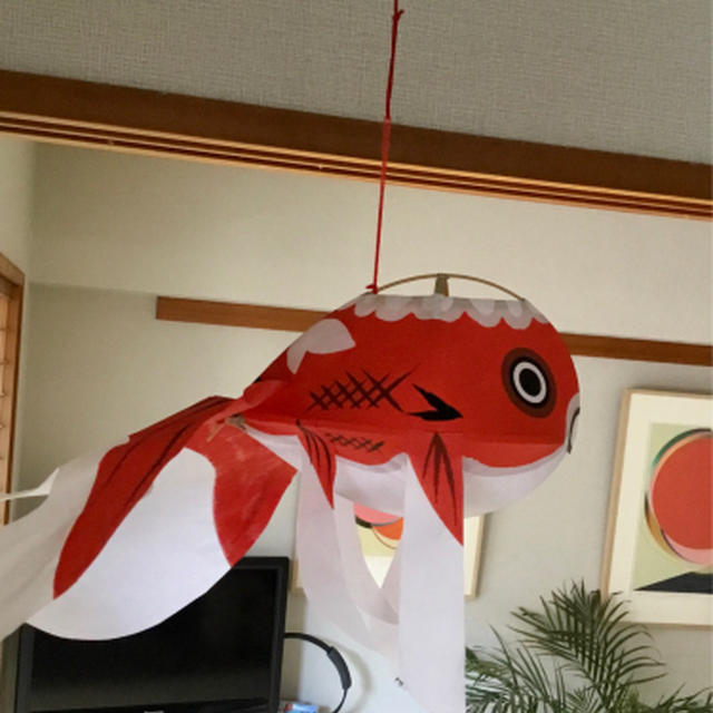 金魚ちょうちんで夏準備