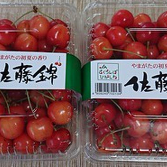 山形県産さくらんぼ「佐藤錦」
