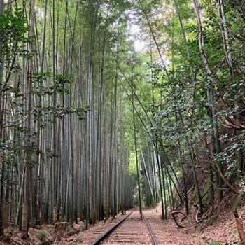 旧国鉄倉吉線　廃線跡