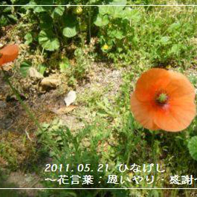 【記録】２０兆ベクレル。。。