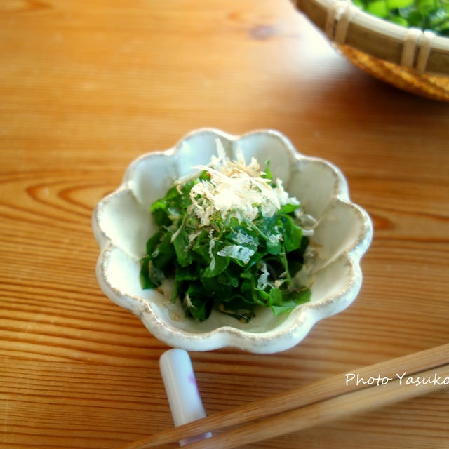 春うらら。日曜日のお花見と‛はこべのおひたし’　【レシピあり】