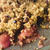 Crumble de brugnons 