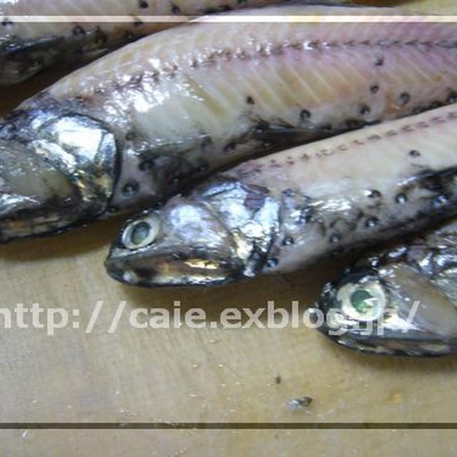 ハダカイワシのペッサン揚げ