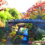 名勝！甲斐の猿橋の紅葉が美しすぎる☆日本三奇橋・山梨県大月市