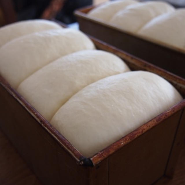 一番出番が多いと思うよ、このパン！