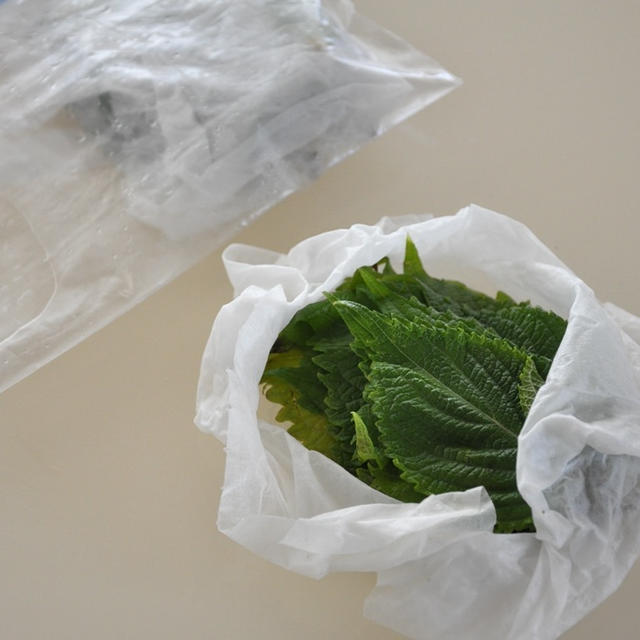 【野菜の保存】ムダにしない、シソの保存
