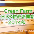 Green Farm 秋のLED水耕栽培開始しました