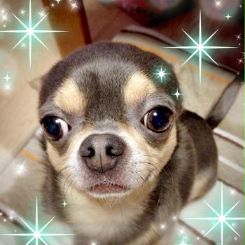 耳どこいった？？