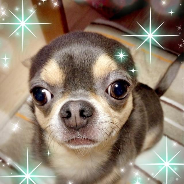 耳どこいった？？