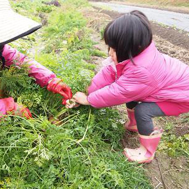 １２月１２日　週末あれこれ♪