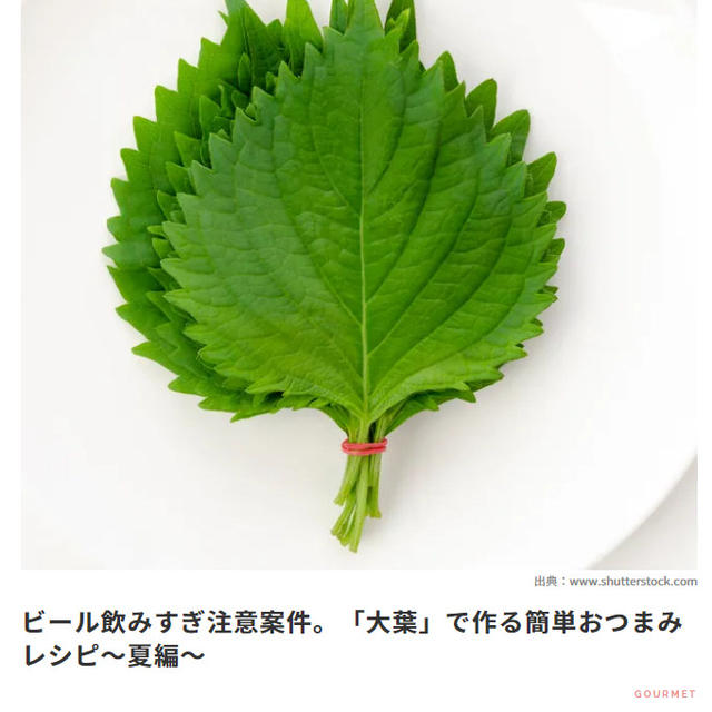 【掲載のお知らせ】４MEEE　ビールに合う大葉で作る簡単おつまみレシピ