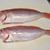 魚の下ごしらえ　煮物、蒸し物、焼き魚、揚げ物