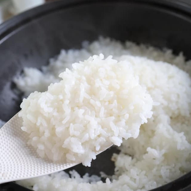 【土鍋で炊くごはん】今年の新米も美味｜美味しすぎて食べ過ぎ注意！｜贅沢すぎる新米｜食費応援