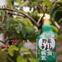*家庭菜園に♪野菜うまし♪