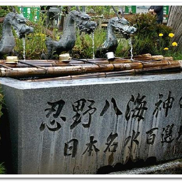 忍野八海〜花の都公園／山梨のお土産はふじやまビール他。バスツアー続編です。