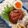 男子高校生弁当　トマト缶で作る！煮込みハンバーグ弁当