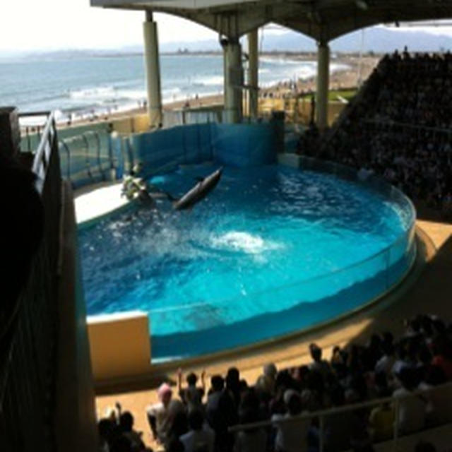 新江ノ島水族館 part2