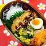 今日のお弁当(揚げないトンカツ弁当)4/30