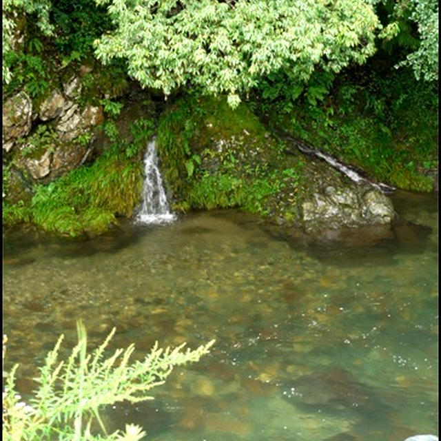 夏休みのお出かけ