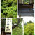 2019年初夏の京都旅行