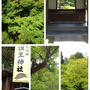 2019年初夏の京都旅行