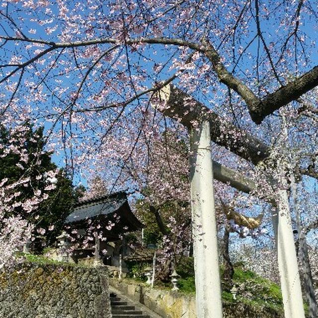 温泉へ犬連れ小旅行　～山形：赤湯温泉～