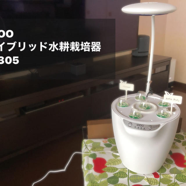 【iDOO水耕栽培器ID-IG305レビュー】水耕と土耕もできるハイブリッドな水耕栽培器でインドアガーデンを楽しむ