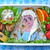 王様のブランチ出演しました！アナと雪の女王キャラ弁☆エルサとオラフのお弁当！