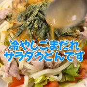 冷やしごまだれサラダうどんが好きです！！