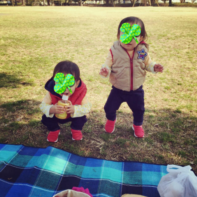 公園で遊んでお弁当を食べよう