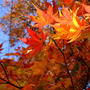 宮城・紅葉の旅